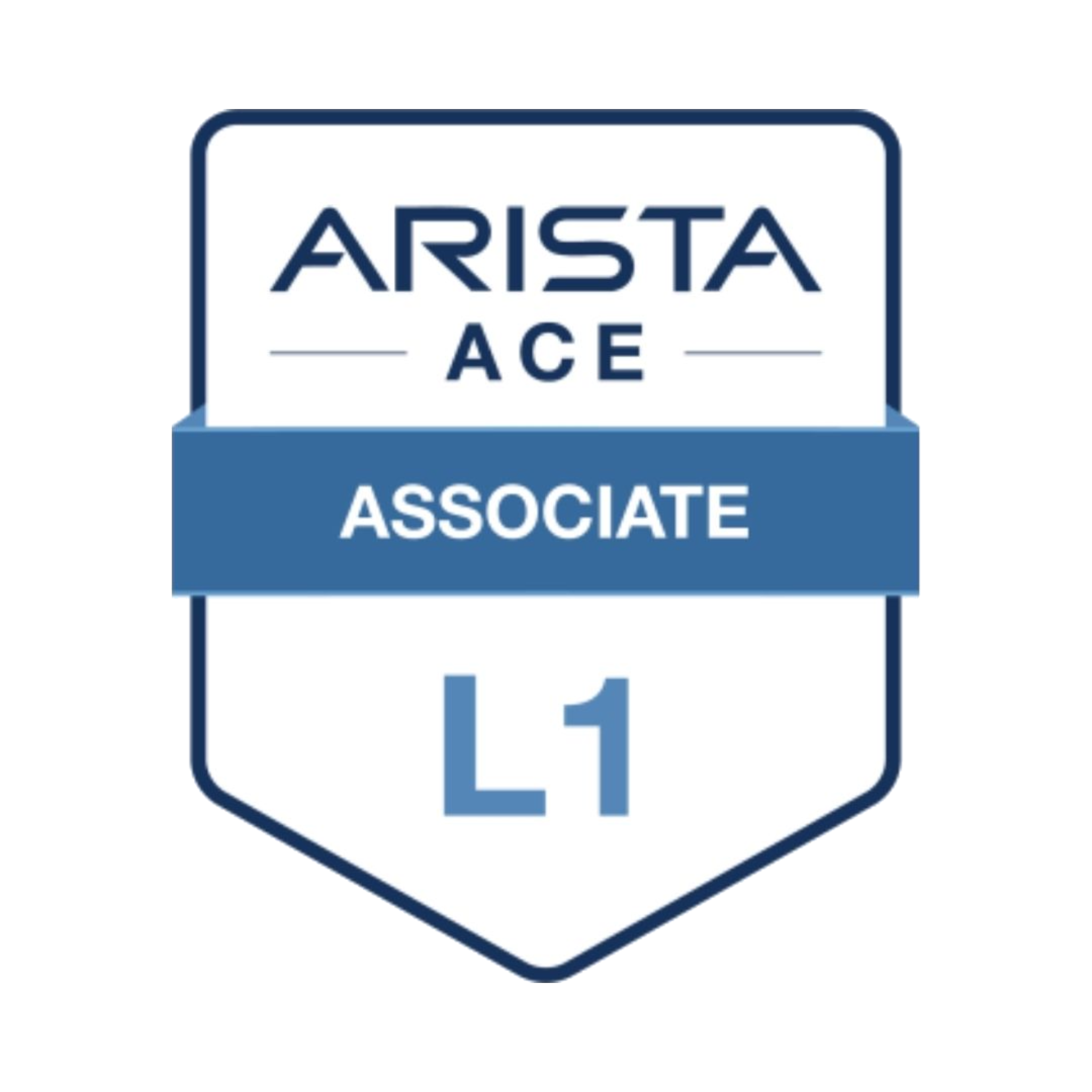 Arista LEVEL 1 Associate Foundations Logo