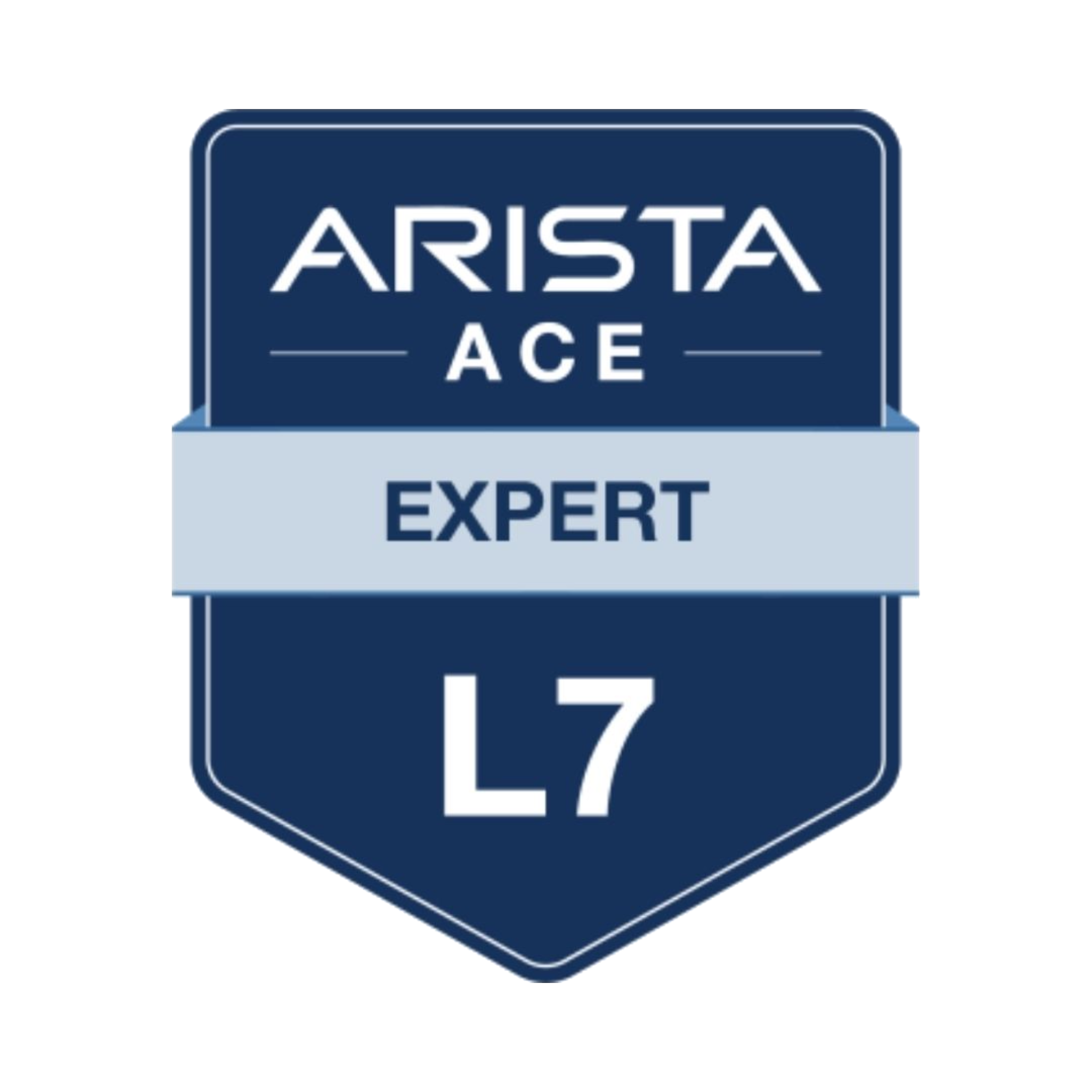 Arista LEVEL 7 Expert Logo